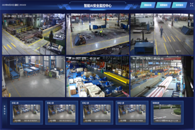 特色黨建品牌展播 | 人工智能黨支部 數(shù)智引領(lǐng) 共創(chuàng)未來(lái) 安全系統(tǒng)監(jiān)控服務(wù)